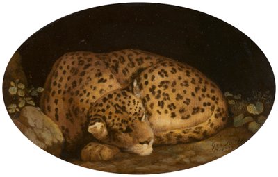 Schlafender Leopard von George Stubbs