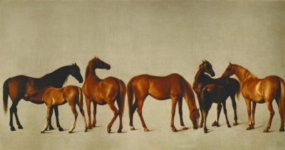 Stuten mit Füllen von George Stubbs