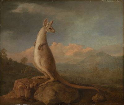 Der Kongouro aus New Holland (Känguru) von George Stubbs