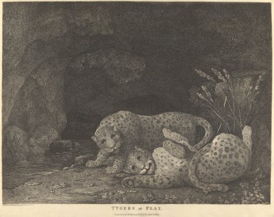 Tiger beim Spielen von George Stubbs