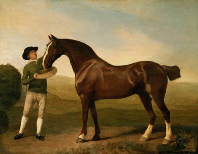 Unbekanntes Bild von George Stubbs