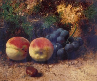 Pfirsiche und Trauben von George Walter Harris