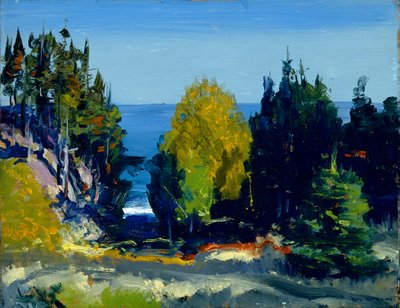Der Hain - Monhegan, 1911 von George Wesley Bellows