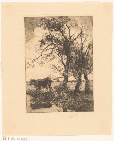 Kuh am Wasser von Gerard Altmann (signed by artist)