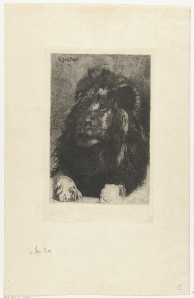 Kopf eines Löwen von Gerard Jan Bos
