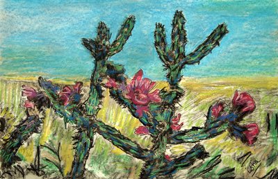 Cholla in Blüte, 2017 von Gerhardt Isringhaus