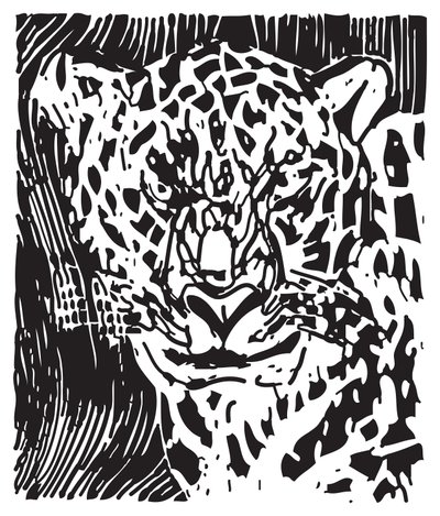 Leopard von Gerhardt Isringhaus