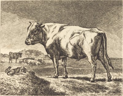 Kuh von German 19th Century
