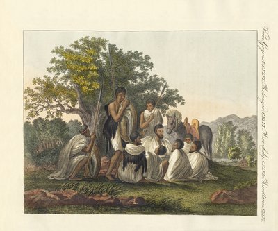 Abessinier ruhen während ihrer Reise von German School
