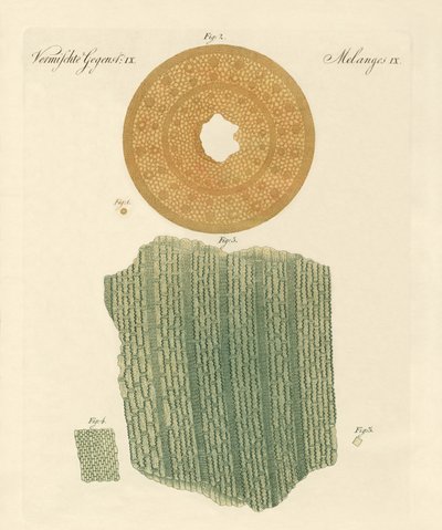 Anatomie eines Strohhalms von German School