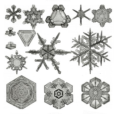 Verschiedene Formen von Schneeflocken von German School
