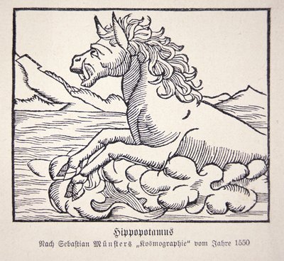 Nilpferd aus Sebastien Münsters 
