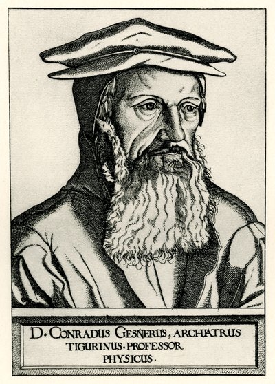 Konrad Gesner von German School