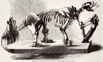 Megatherium-Skelett im British Museum von German School