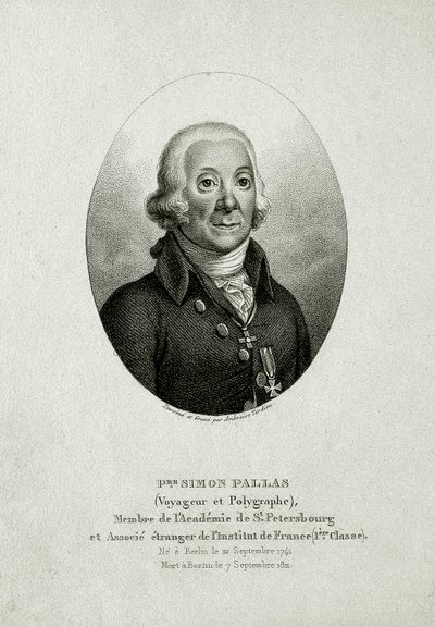 Peter Simon Pallas. (1741 – 1811) von German School