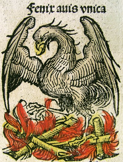 Phönix, veröffentlicht in der Nürnberger Chronik, 1493 von German School