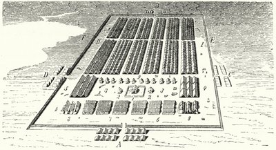 Römisches Armeelager (Gravur) von German School