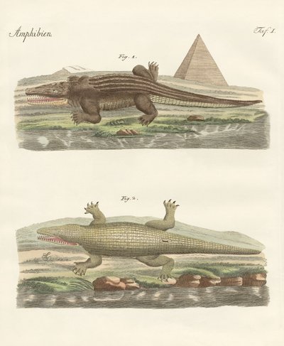 Das Krokodil von German School