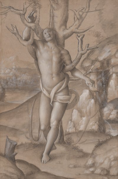 Heiliger Sebastian von Gerolamo Giovenone