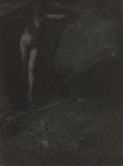 Die Fledermaus, 1902 von Gertrude Käsebier