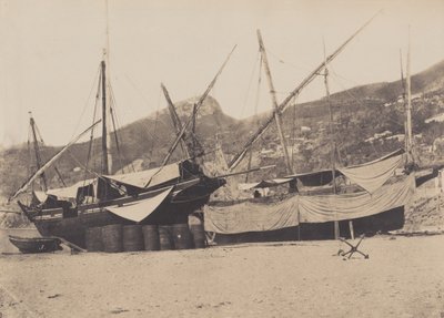 Salerne von Giacomo Caneva