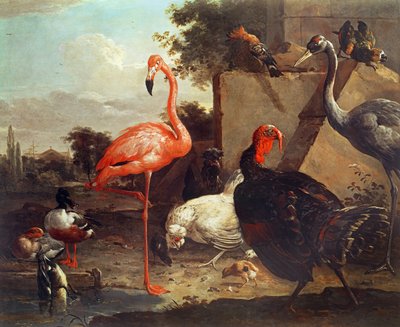 Verschiedene Vögel von Gillis Claesz d