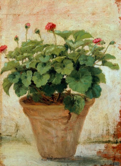 Vase mit Geranie von Gioacchino Toma