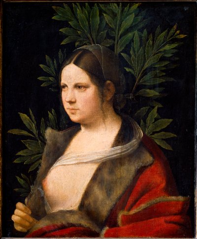 Porträt von Laure von Giorgione
