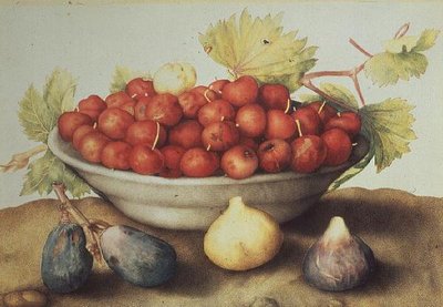 Eine Schale mit Kirschen und Feigen von Giovanna Garzoni