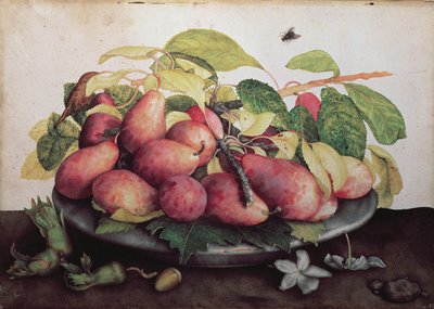 Birnen mit Weißdorn von Giovanna Garzoni