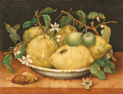 Stillleben mit Schale von Zitronen von Giovanna Garzoni