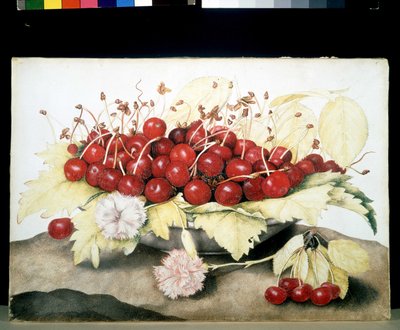 Unbekanntes Bild von Giovanna Garzoni