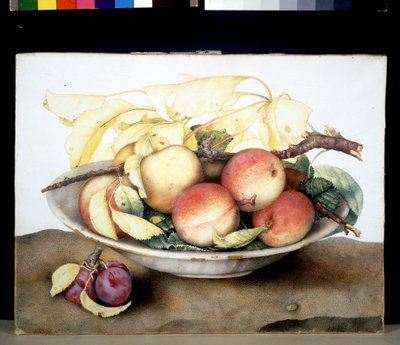 Unbekanntes Bild von Giovanna Garzoni