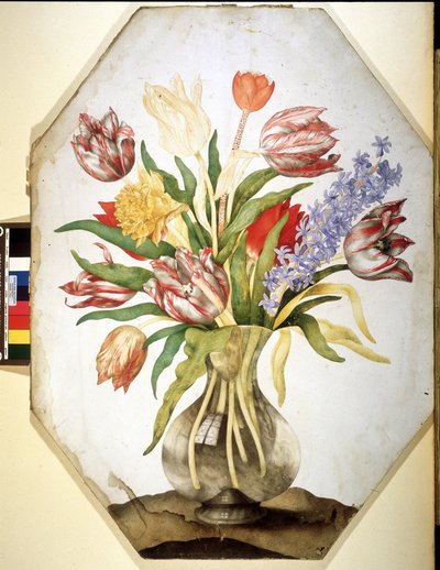 Unbekanntes Bild von Giovanna Garzoni