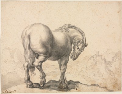 Studie eines Hengstes von Giovanni Battista Foggini