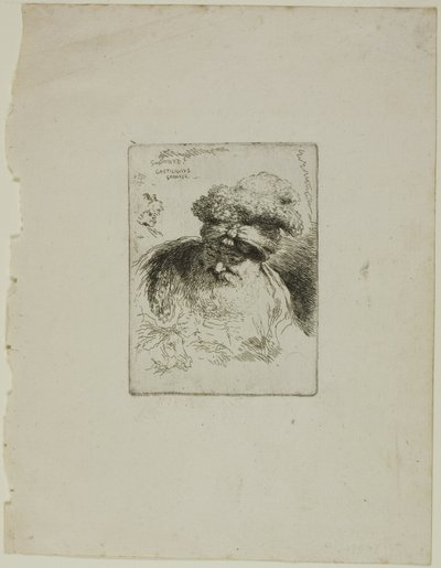 Alter Mann mit Turban von Giovanni Benedetto Castiglione