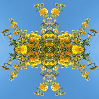 Unnatural 193 von Giovanni Cafagna