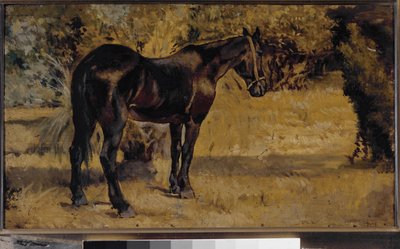 Dunkles Pferd (Öl auf Leinwand) von Giovanni Fattori