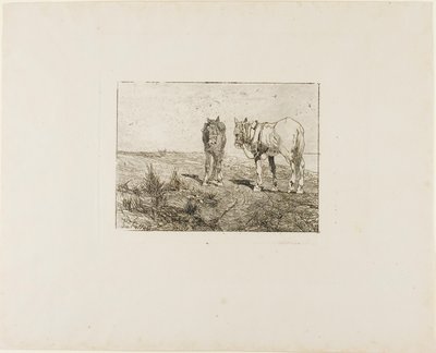 Ruhe der Pferde von Giovanni Fattori