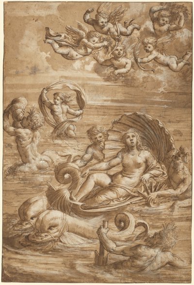 Der Triumph der Galatea von Girolamo da Treviso II