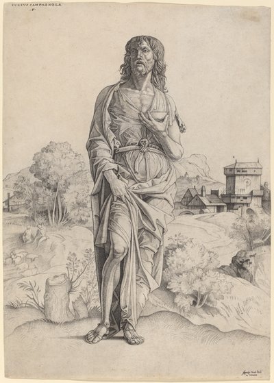 Johannes der Täufer von Giulio Campagnola