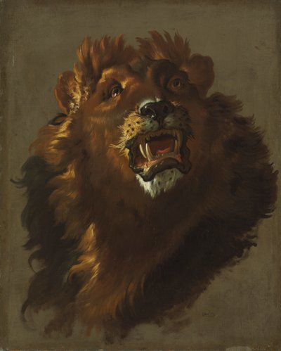 Löwe von Giuseppe Baldrighi