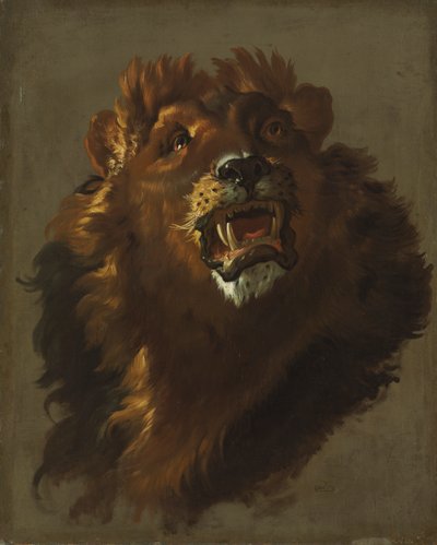 Löwe von Giuseppe Baldrighi