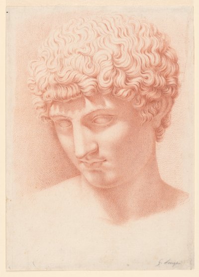 Kopf des Apollo von Giuseppe Longhi
