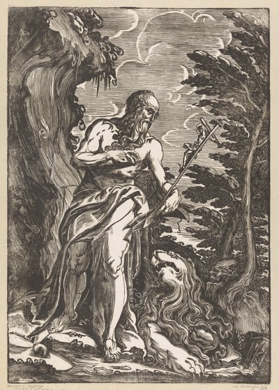 Heiliger Hieronymus in der Wildnis von Giuseppe Scolari