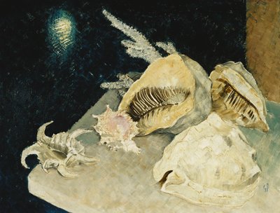Muscheln von Glyn Warren Philpot