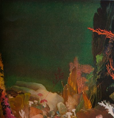Unter dem Meer, ca. 1904-1924, 1924 von Glyn Warren Philpot