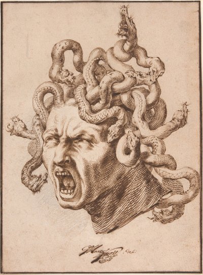 Kopf der Medusa von Godfried Maes
