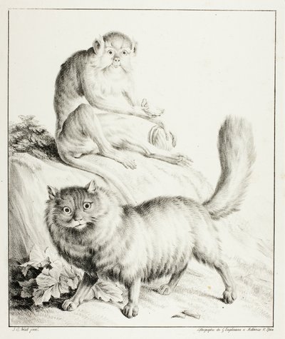 Katze und Affe von Gottfried Engelmann