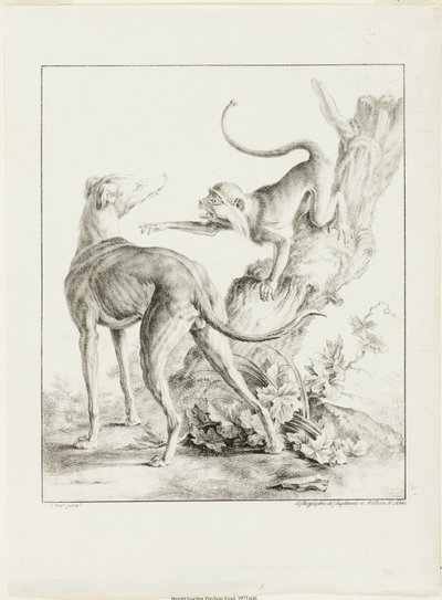 Hund und Affe von Gottfried Engelmann